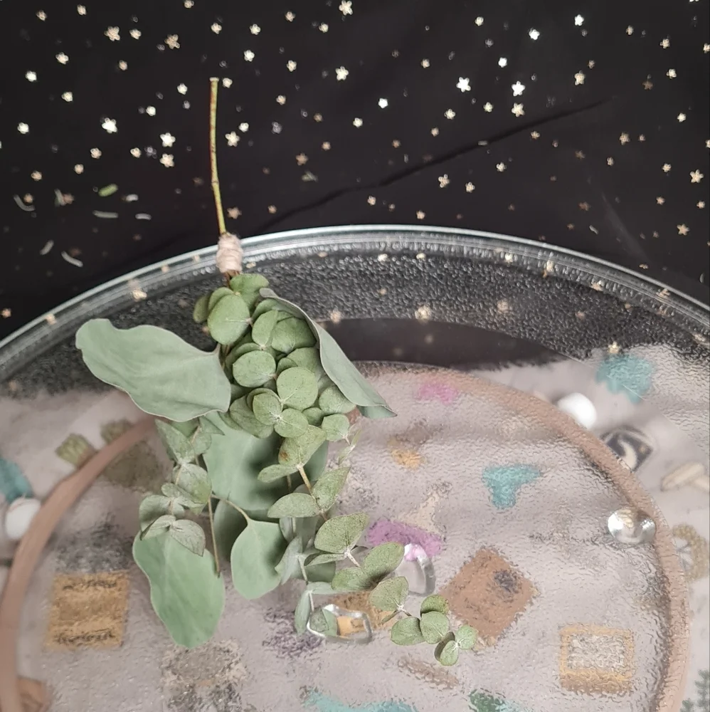 Elegant Baby Eucalyptus Broom